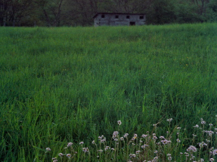 Hog Pen, Hensley Settlement at Sunset